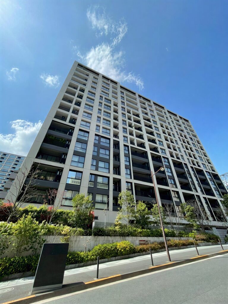 XahmKLK_1CWizab-Egg_I_AabvN55L