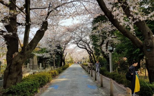 Aoyama Minami: Residential Pricing, Zoning, and Buyer Context in April 2026