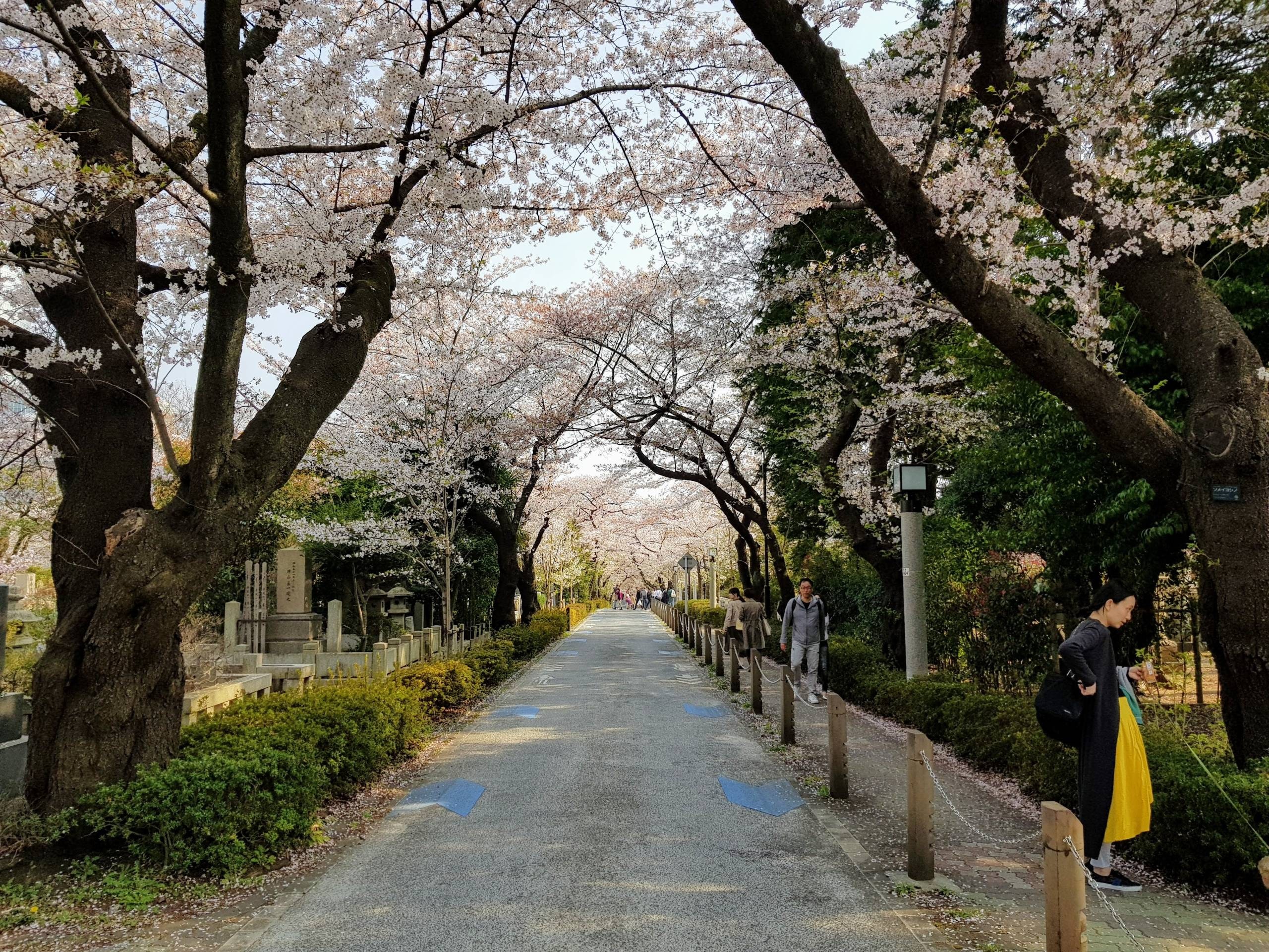 Aoyama Minami: Residential Pricing, Zoning, and Buyer Context in April 2026