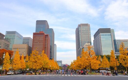 Chiyoda-ku Bancho Guide: Land Prices, Zoning, and Buying in 2026