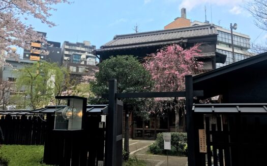 Chiyoda-ku: Tokyo's Central Ward for High-Net-Worth Residential Buyers in 2026