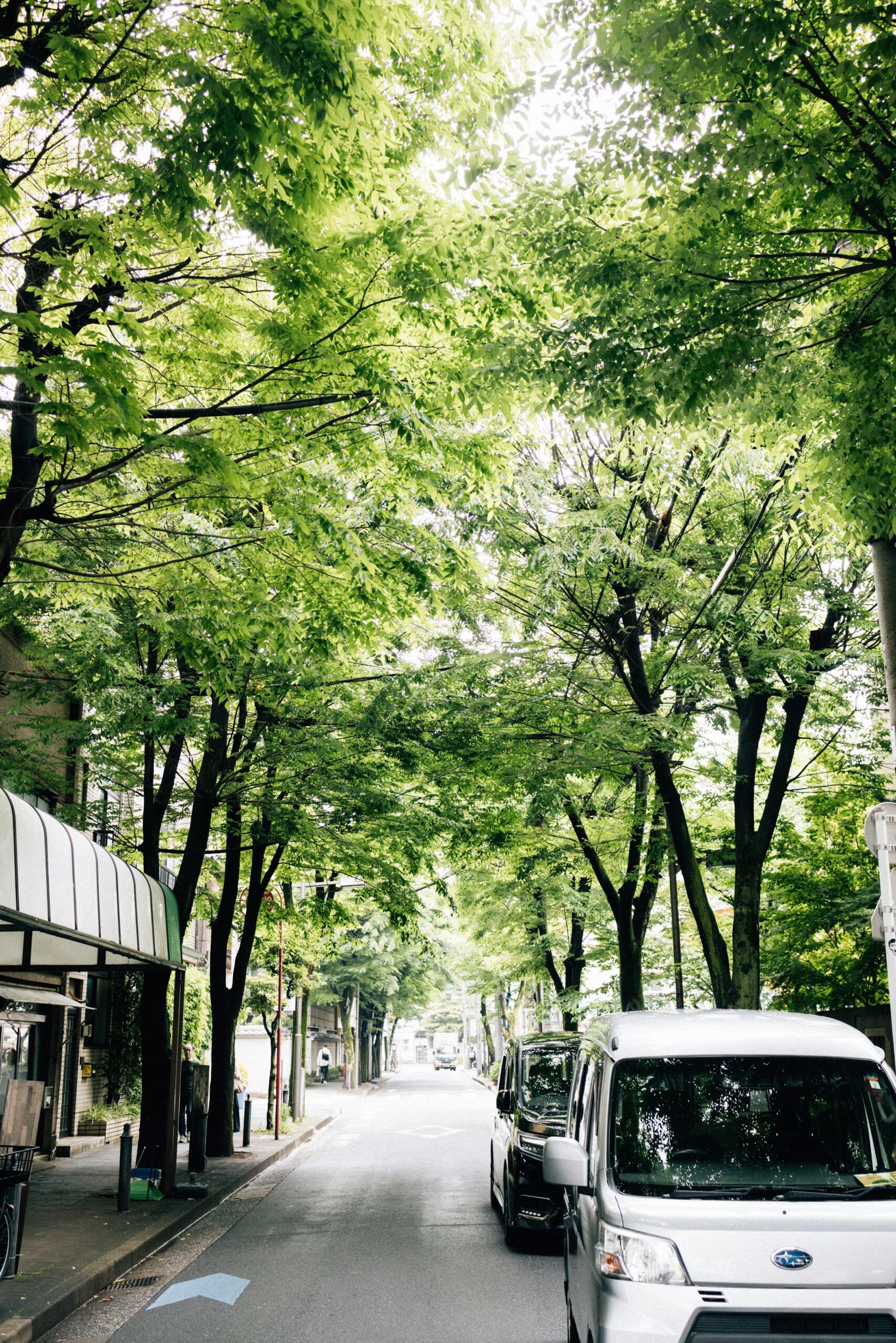 恵比寿の住環境を2026年の最新データで読む。価格・利便性・資産性の実像