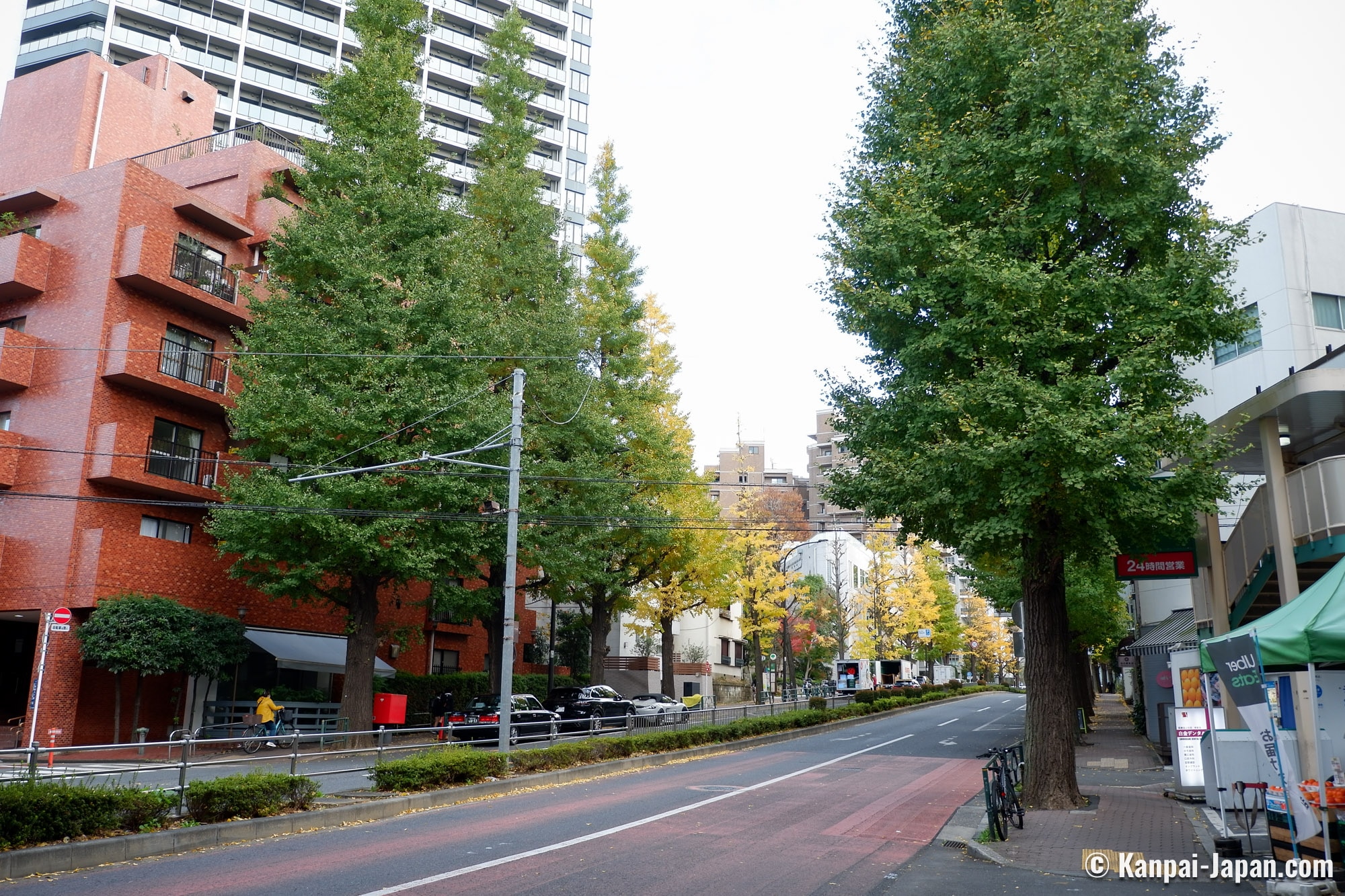 白金・白金台が東京都内屈指の高級住宅街である理由、2026年版