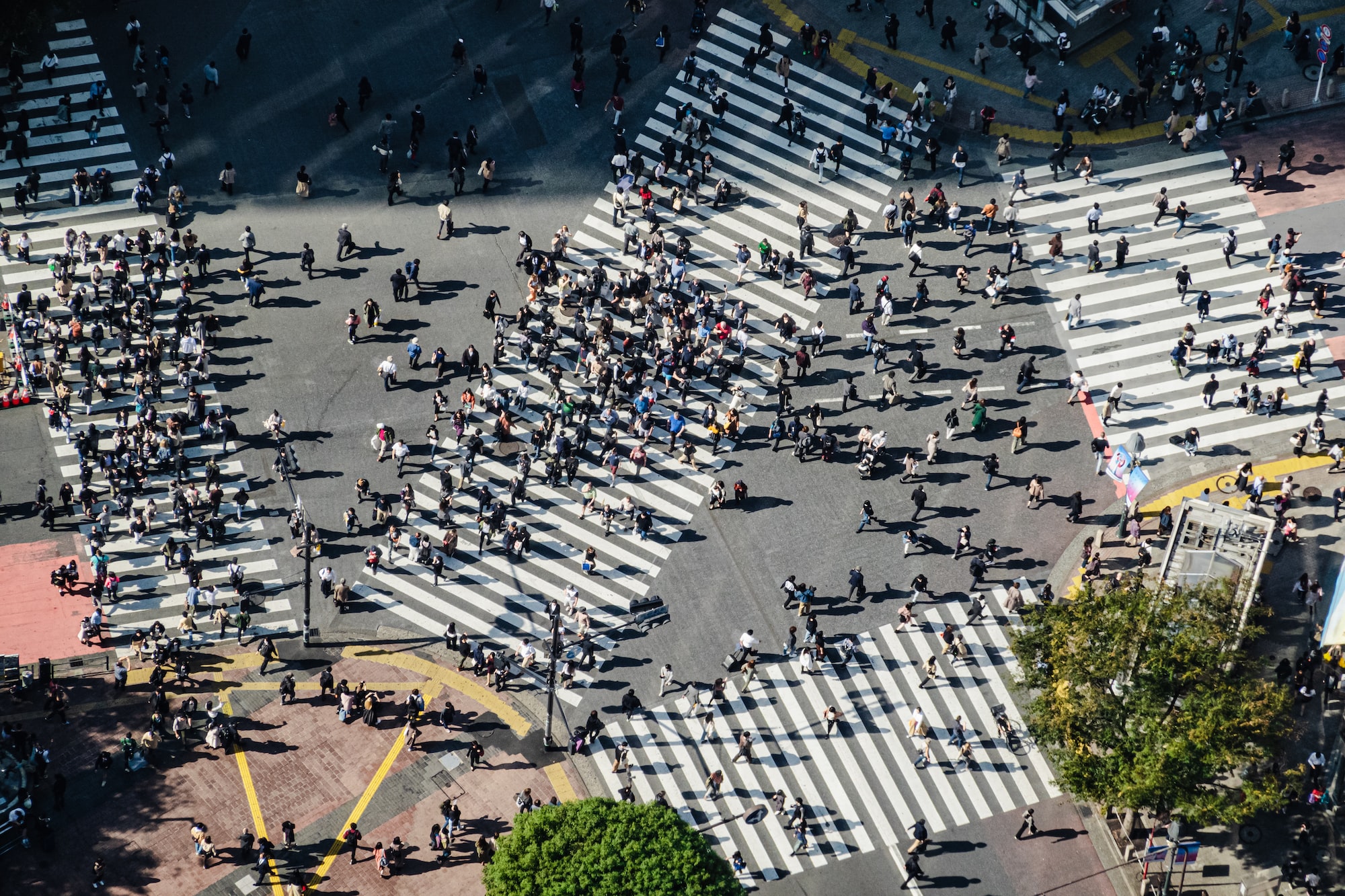 渋谷区松濤の公示地価2026年：坪単価750万円、2年連続2ケタ上昇の背景と将来予測
