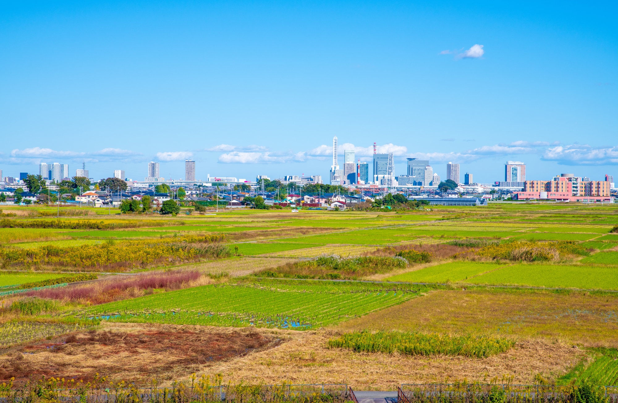 東京都心5区の住環境比較2026年版|港区・渋谷区・千代田区の居住地選定基準