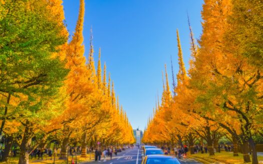 Daikanyama's 12.7% Land Price Surge and the January 2027 Tax Deadline