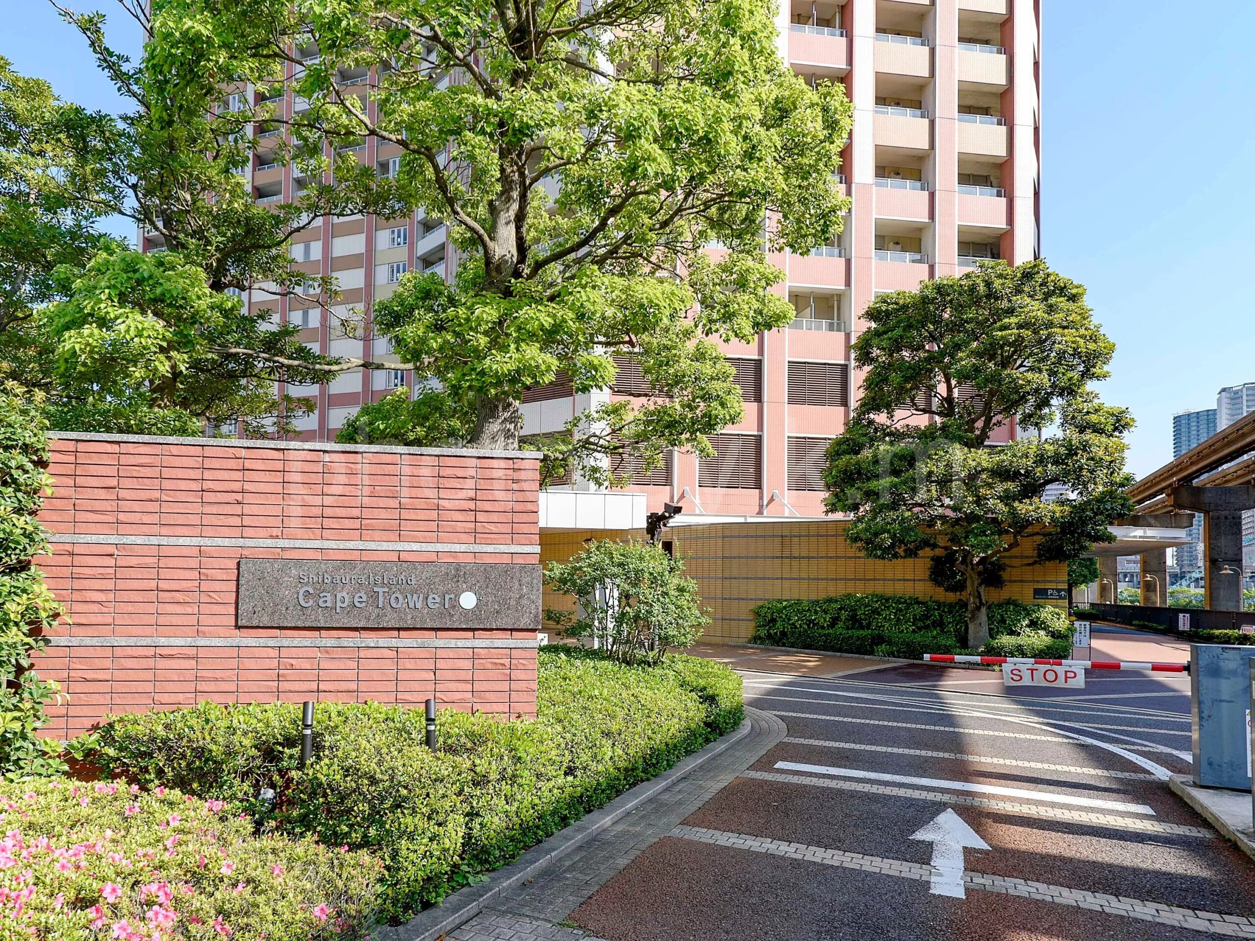 課税所得900万円で変わる税率構造と、法人化前に失う長期譲渡所得の20%