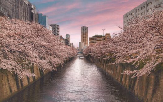Why Meguro's 13.68% Land Price Surge Reshapes Foreign Buyer Strategy in 2026