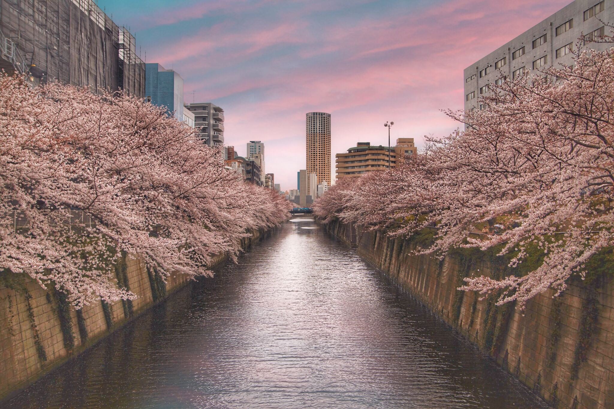 Why Meguro's 13.68% Land Price Surge Reshapes Foreign Buyer Strategy in 2026