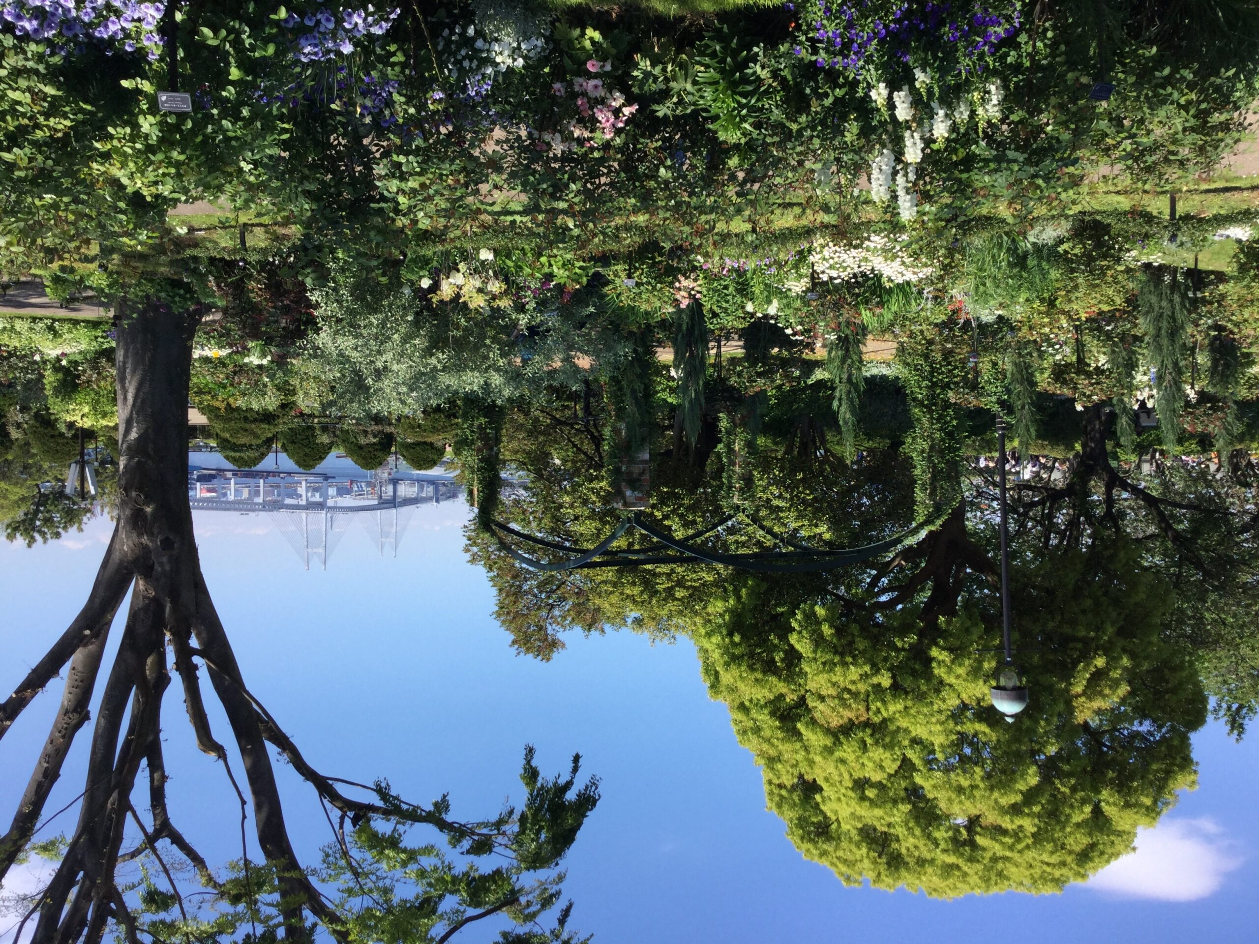 Yamate's 2026 Tax Reset: Why Yokohama's Historic Bluff Now Carries Tokyo-Level Obligations